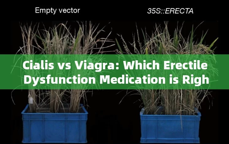 Cialis vs Viagra: Which Erectile Dysfunction Medication is Right for You?