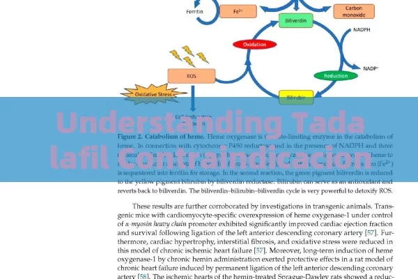 Understanding Tadalafil Contraindicaciones: A Comprehensive Guide to Avoiding Risks