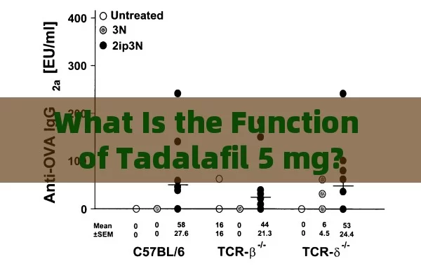 What Is the Function of Tadalafil 5 mg?